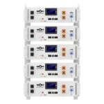 Акумуляторна батарея Biom Professional 48В (51.2В) BALFP-R512100-UNI 5кВтч