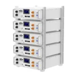 Акумуляторна батарея Biom Professional 48В (51.2В) BALFP-R512100-UNI 5кВтч