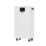 Акумуляторна батарея Biom Professional 48В 314А (51.2В) BALFP-512314-V2 16кВтч